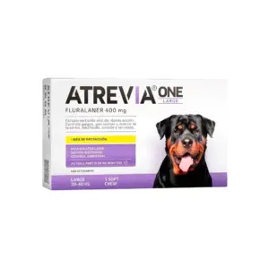 Atrevia One Large