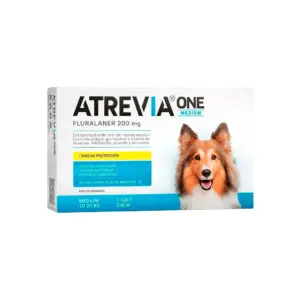 Atrevia One Medium