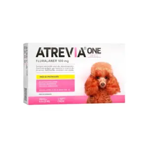 Atrevia One Small