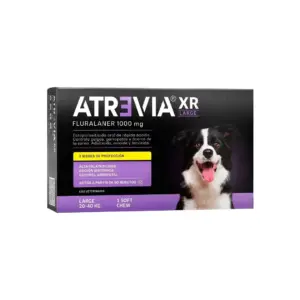 Atrevia XR Large